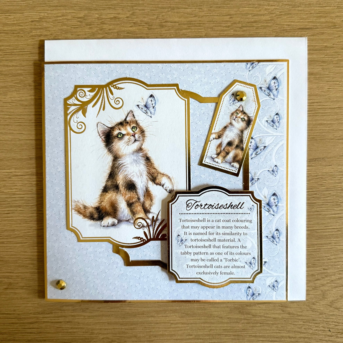Three Handmade Square 7”x7” Cards: Cats - Tortoiseshell, Maine Coon & Birman