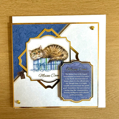 Three Handmade Square 7”x7” Cards: Cats - Tortoiseshell, Maine Coon & Birman